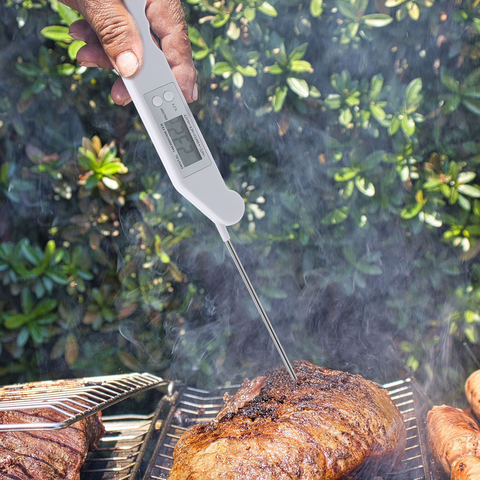 Folding Electronic Thermometer - Electronics And Gadgets review and price